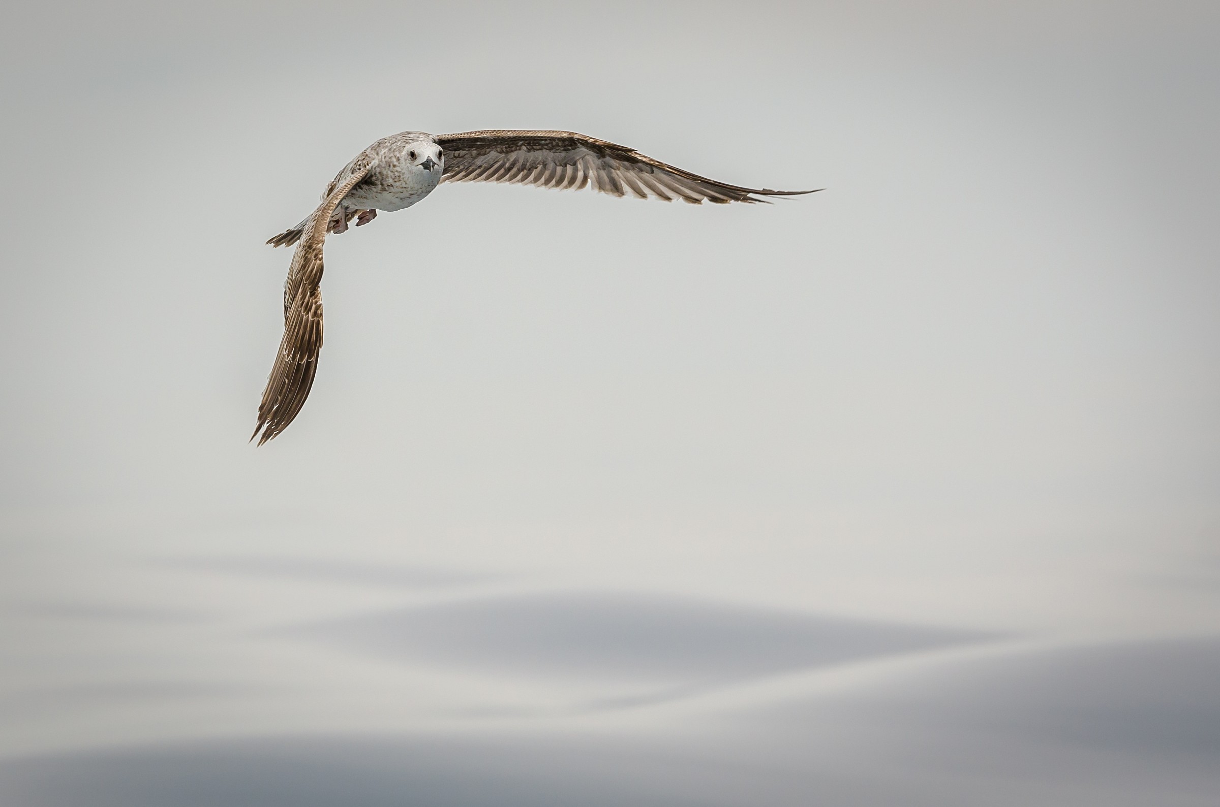 In the middle of nothing