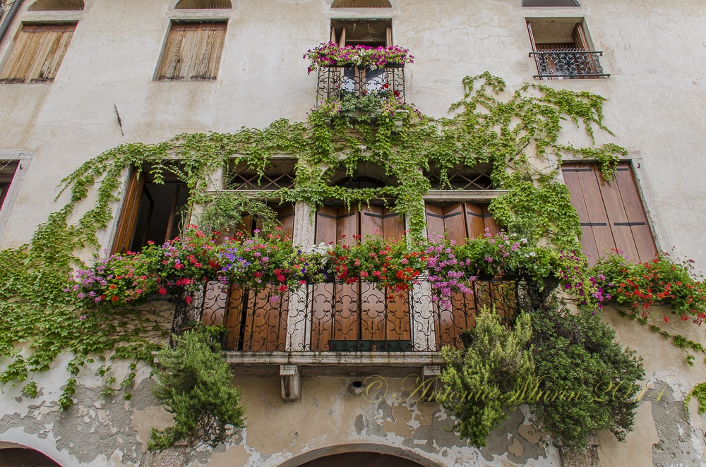 belli fiori-Marostica