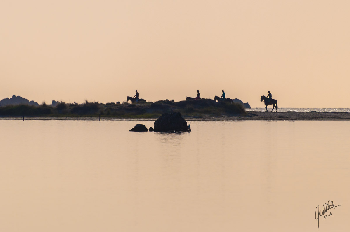 Horses at Cinta di San Teodoro (Sardinia)