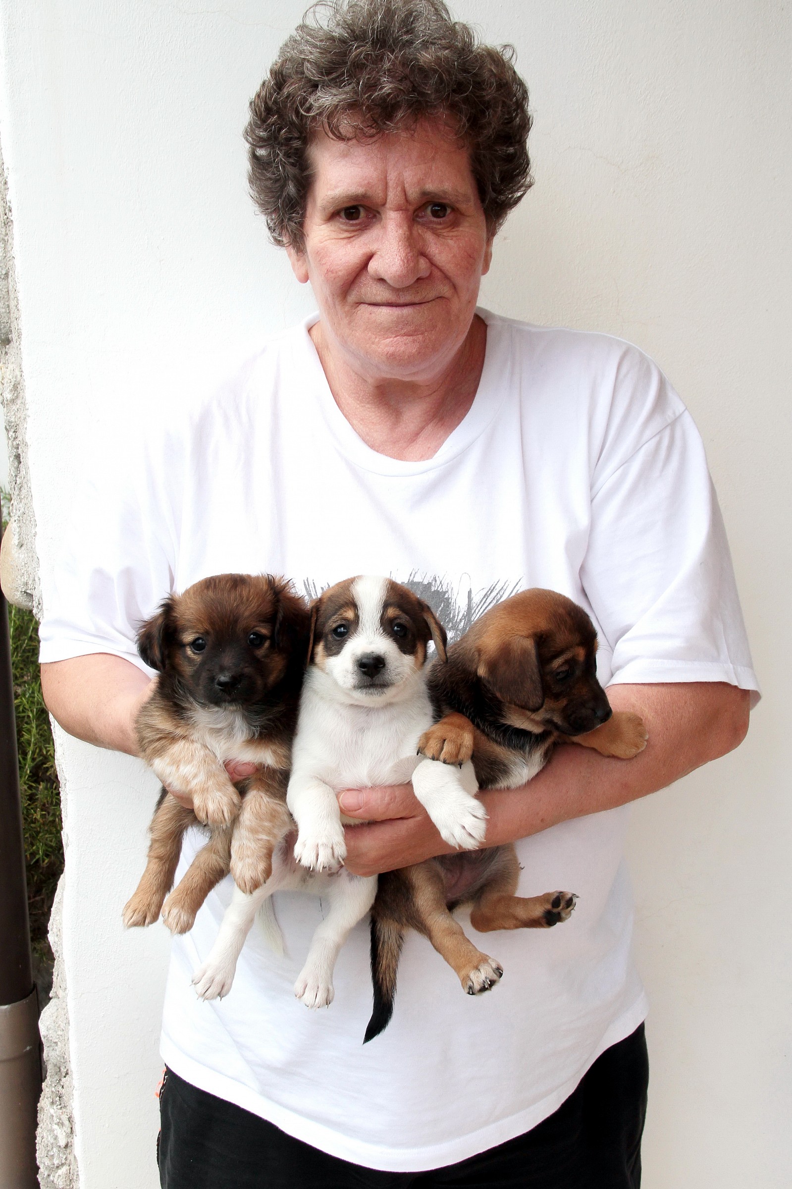 Egles with its treasures