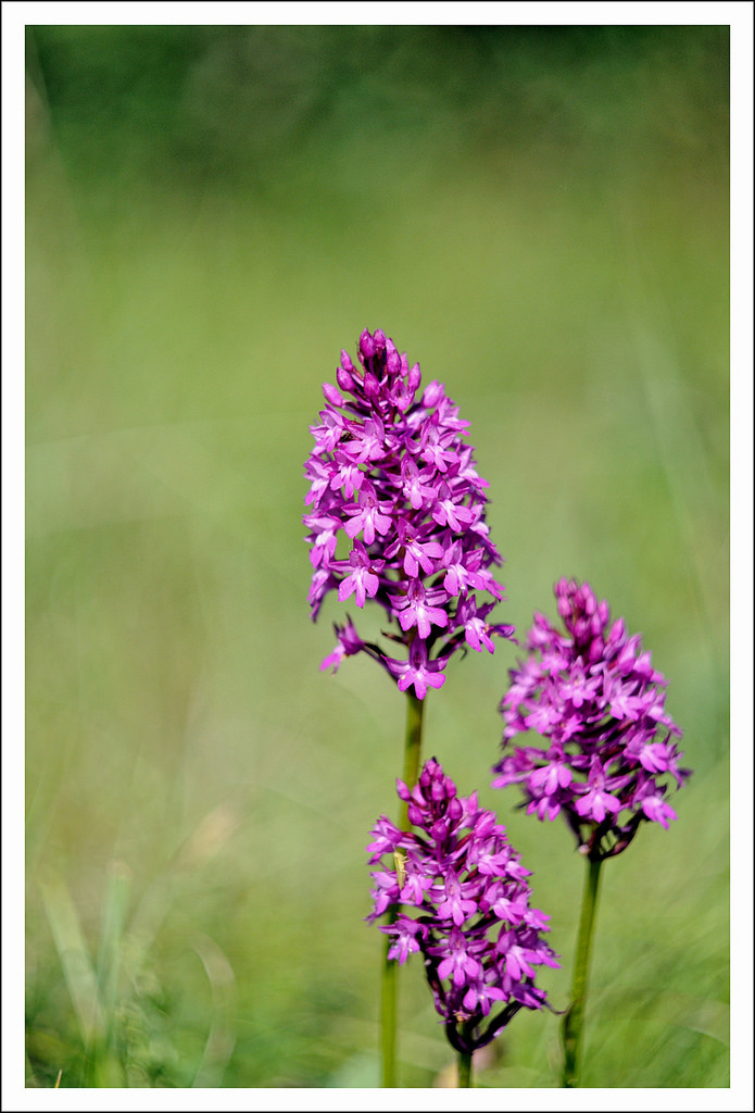 Back in the USSR # 3