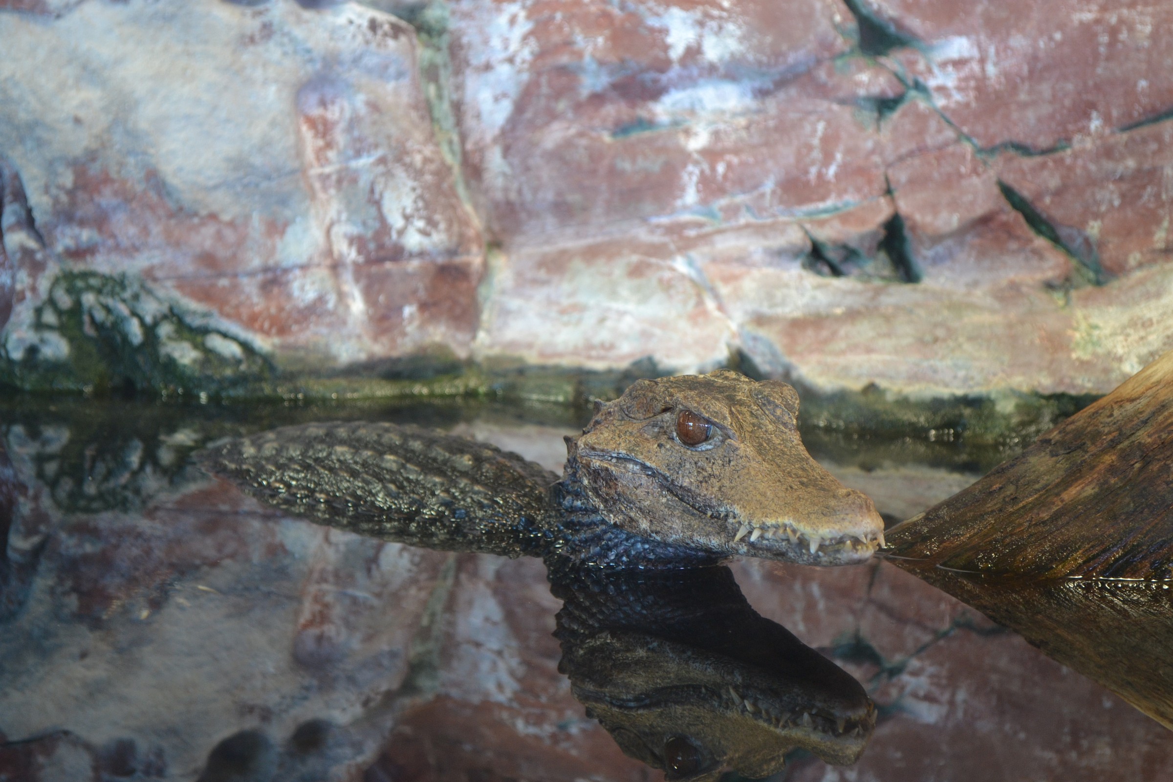 ...non si muove una foglia