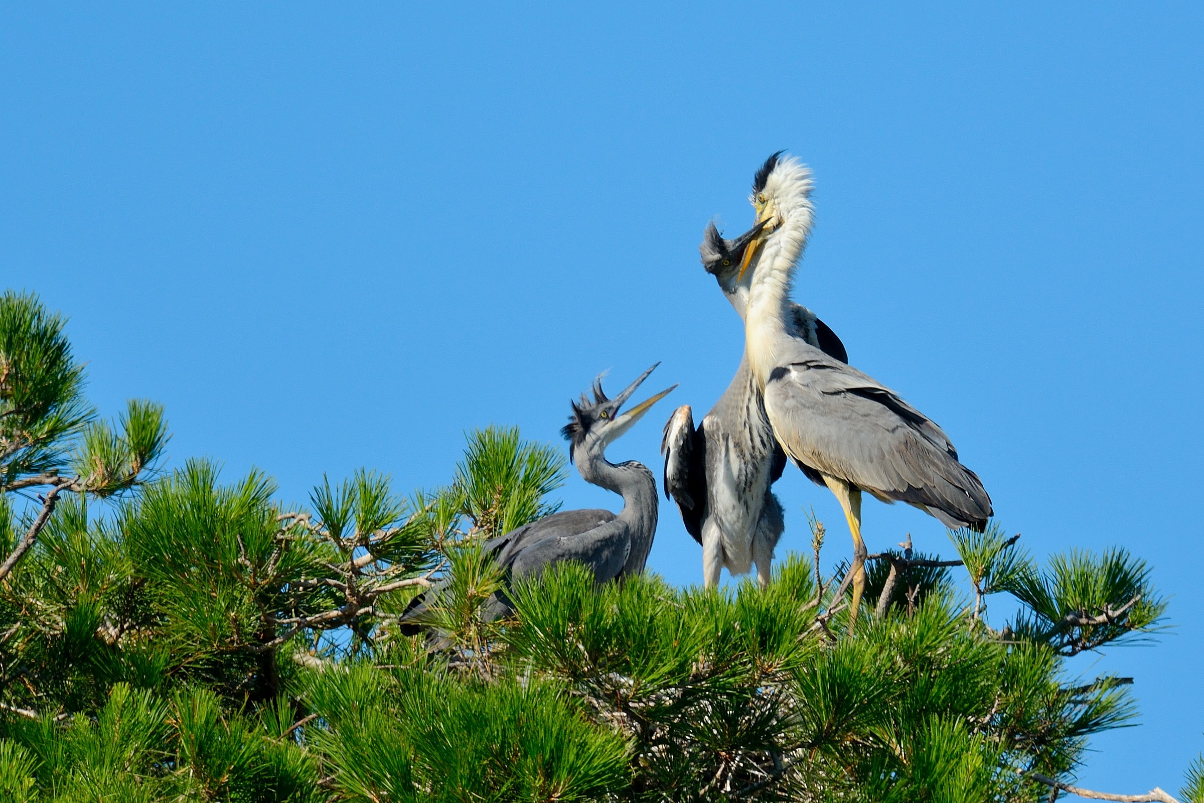 I'm hungry again .... .... ......