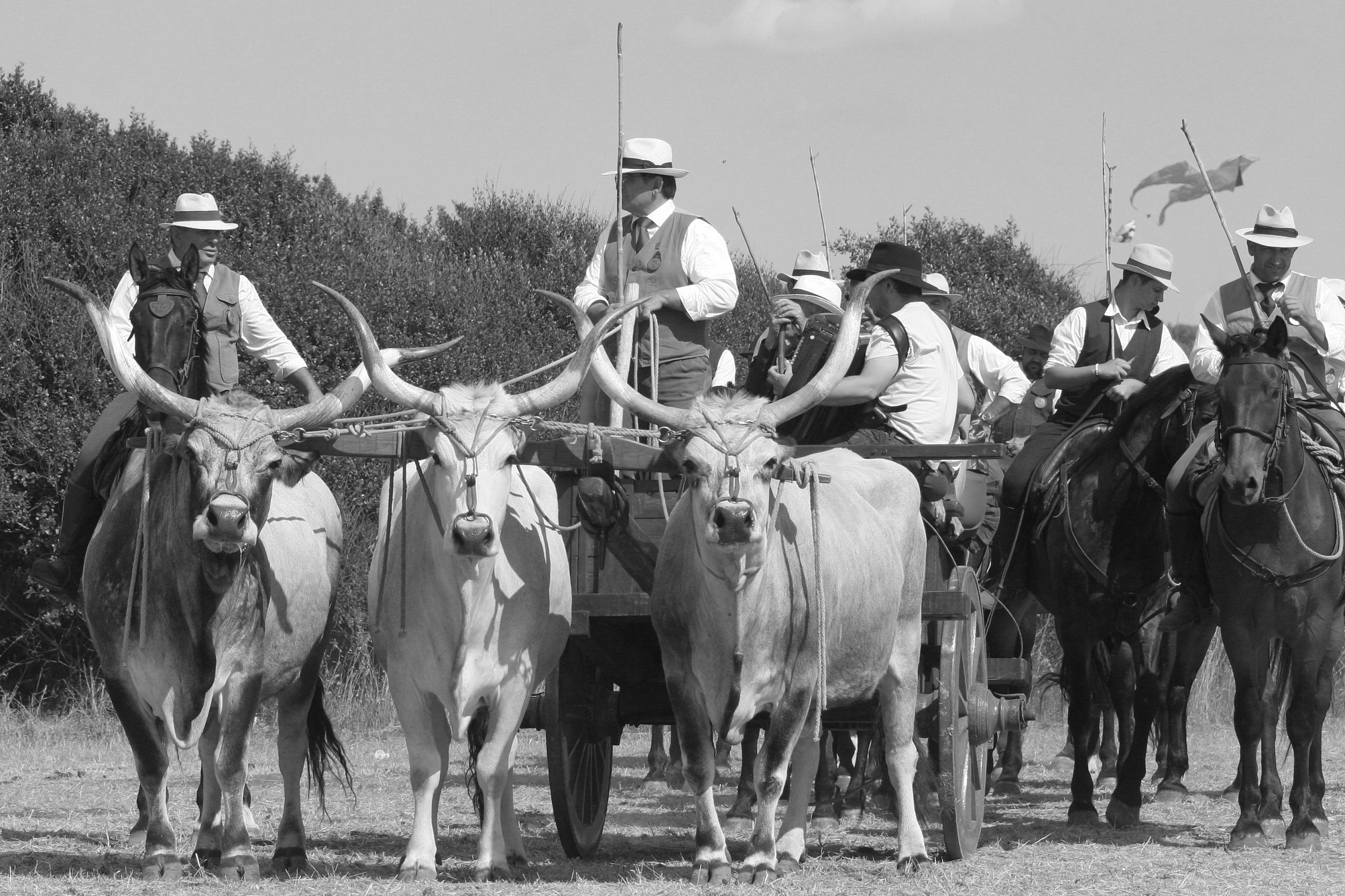 Al Game Fire - Butteri