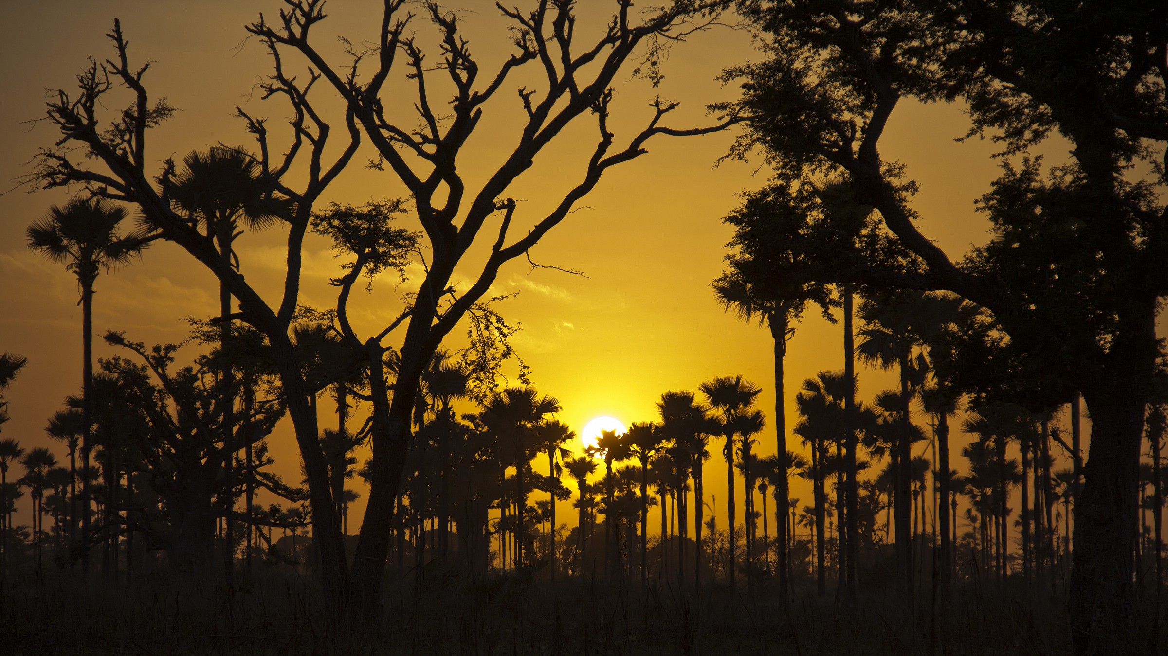 Sunset in Senegal