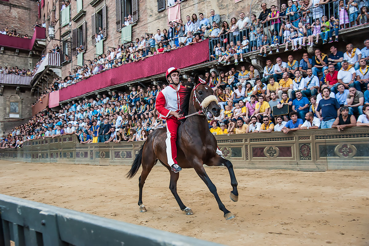 Palio July 2014