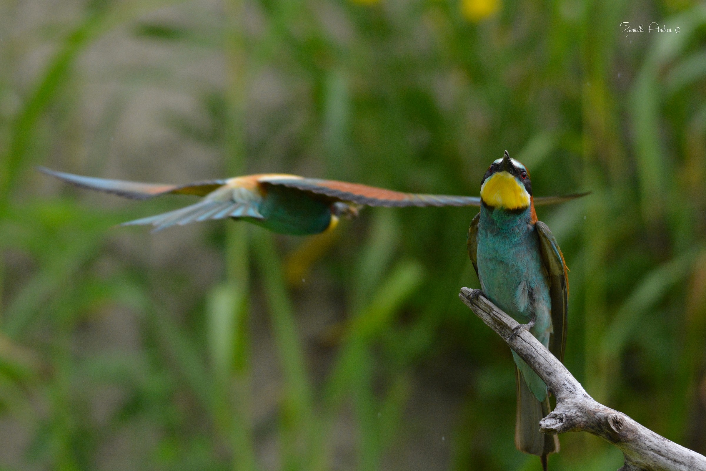 One out and one goes!