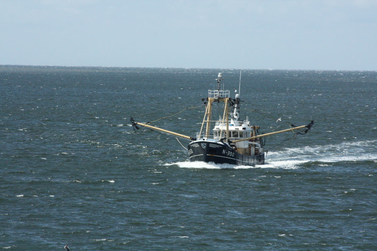 Dutch fishing