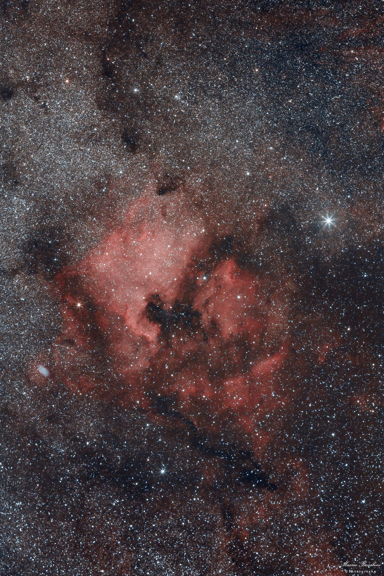 North America and Pelican Nebulae