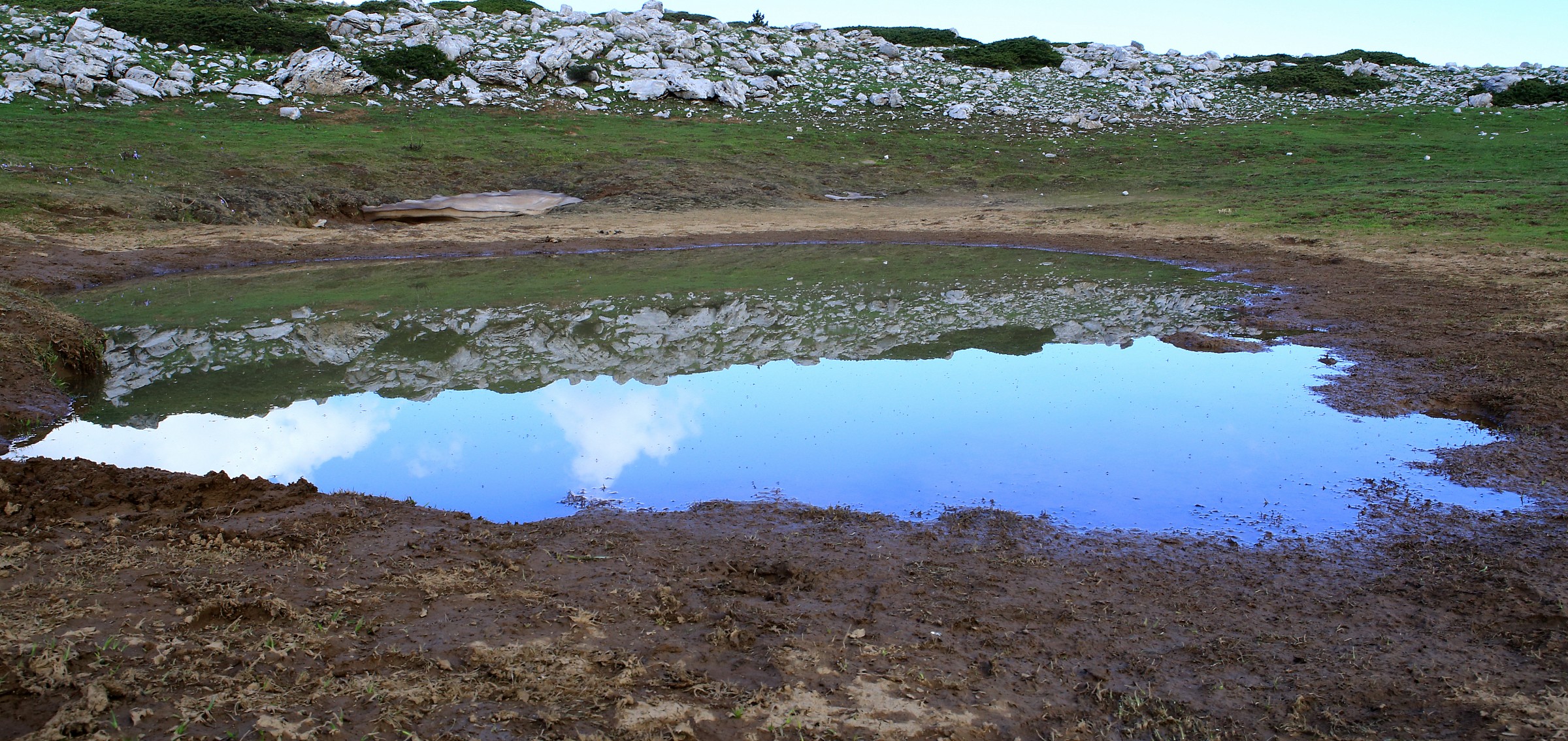 reflections on pollino-2