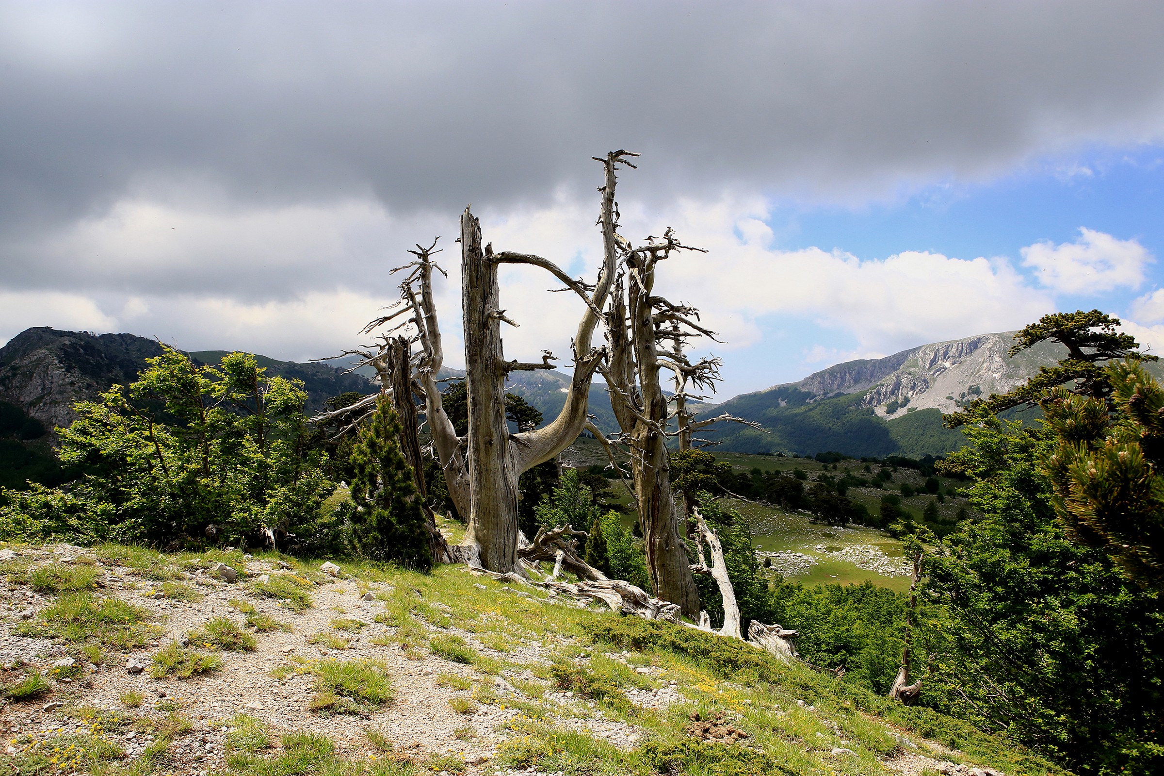 the great door of the Pollino