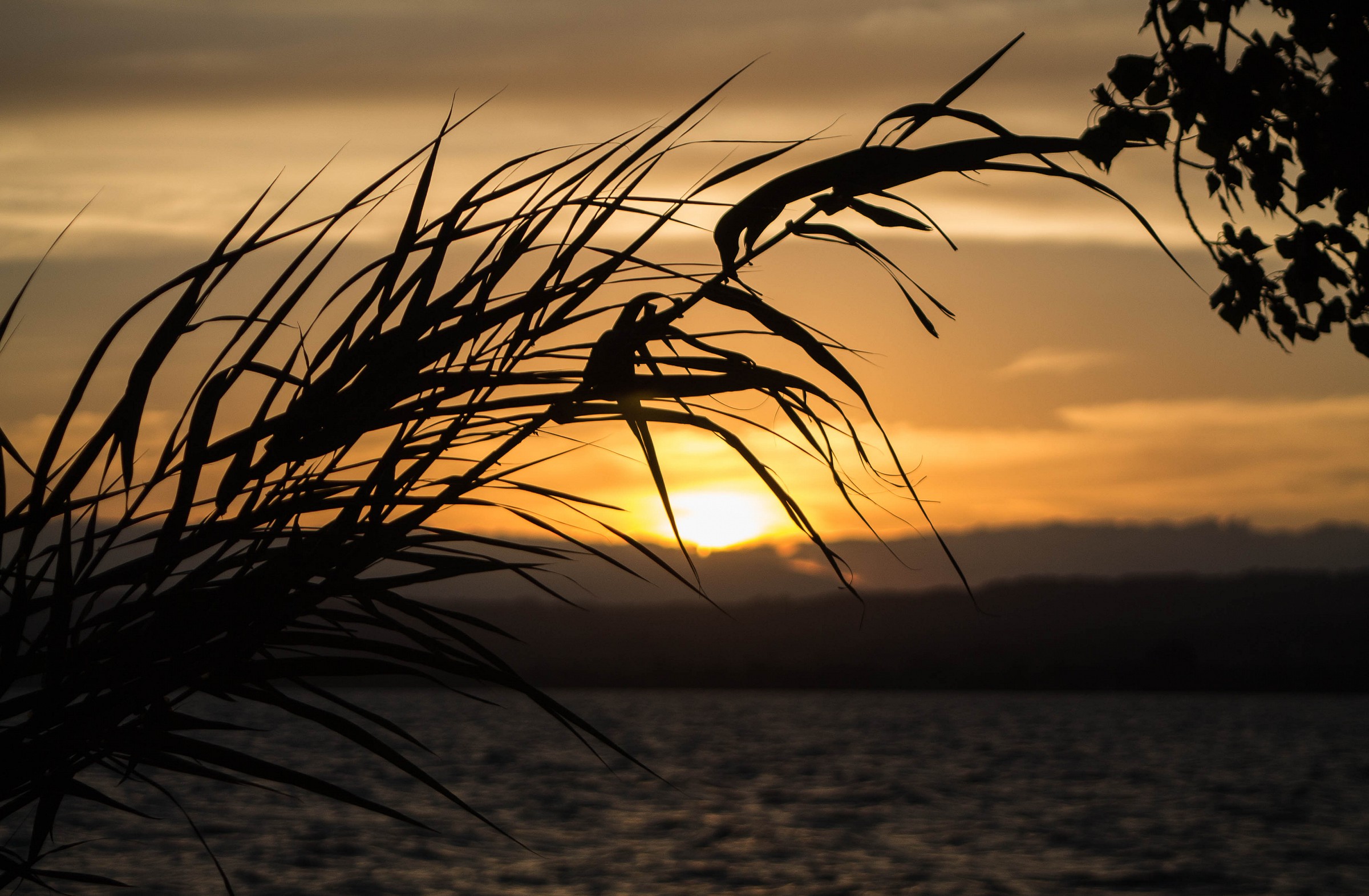 Tramonto a Bolsena 2