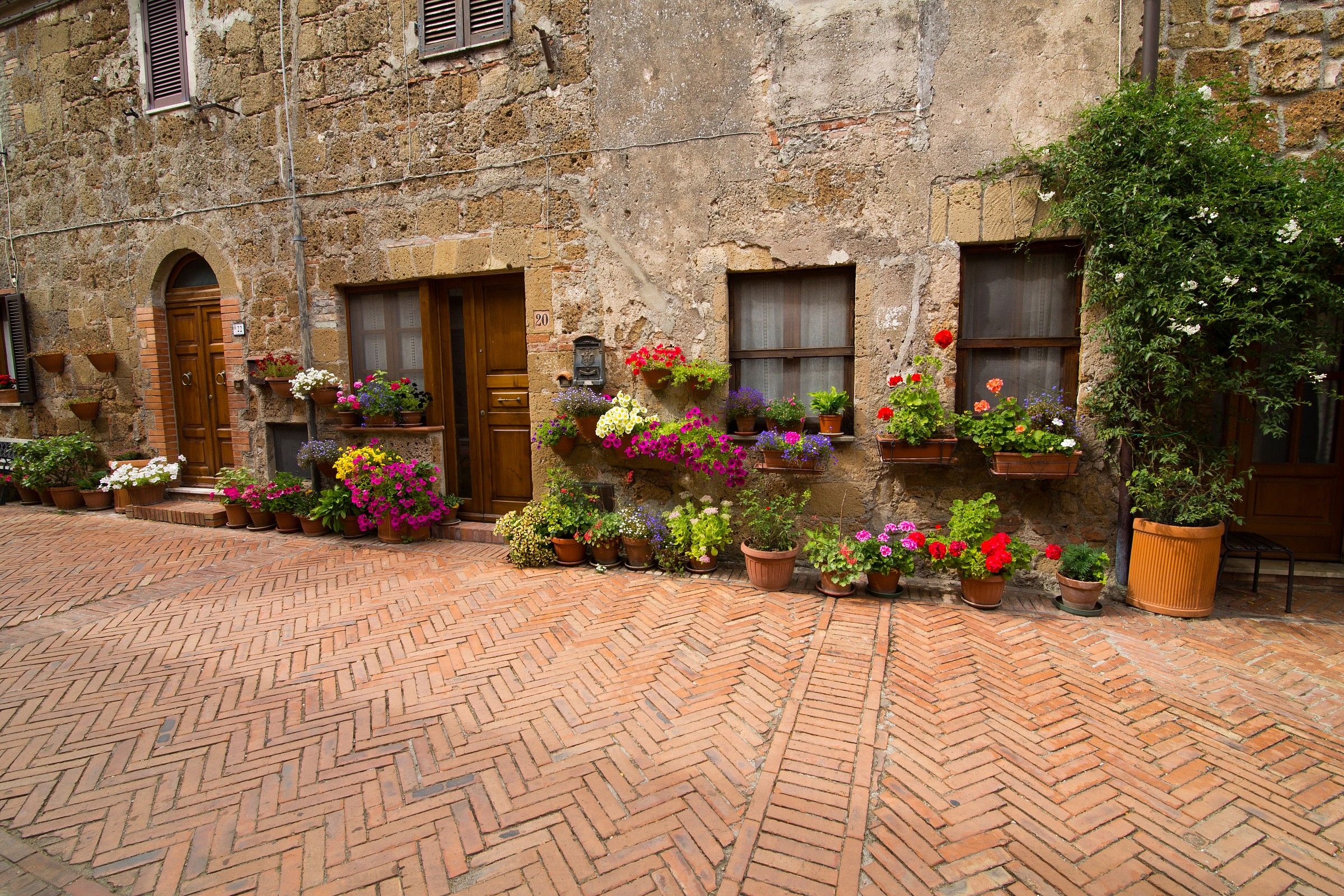 Sovana glimpse into flower