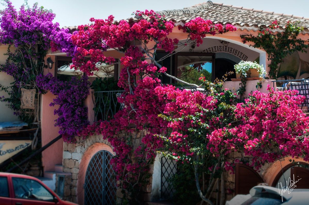 Capriccioli  (Sardegna)