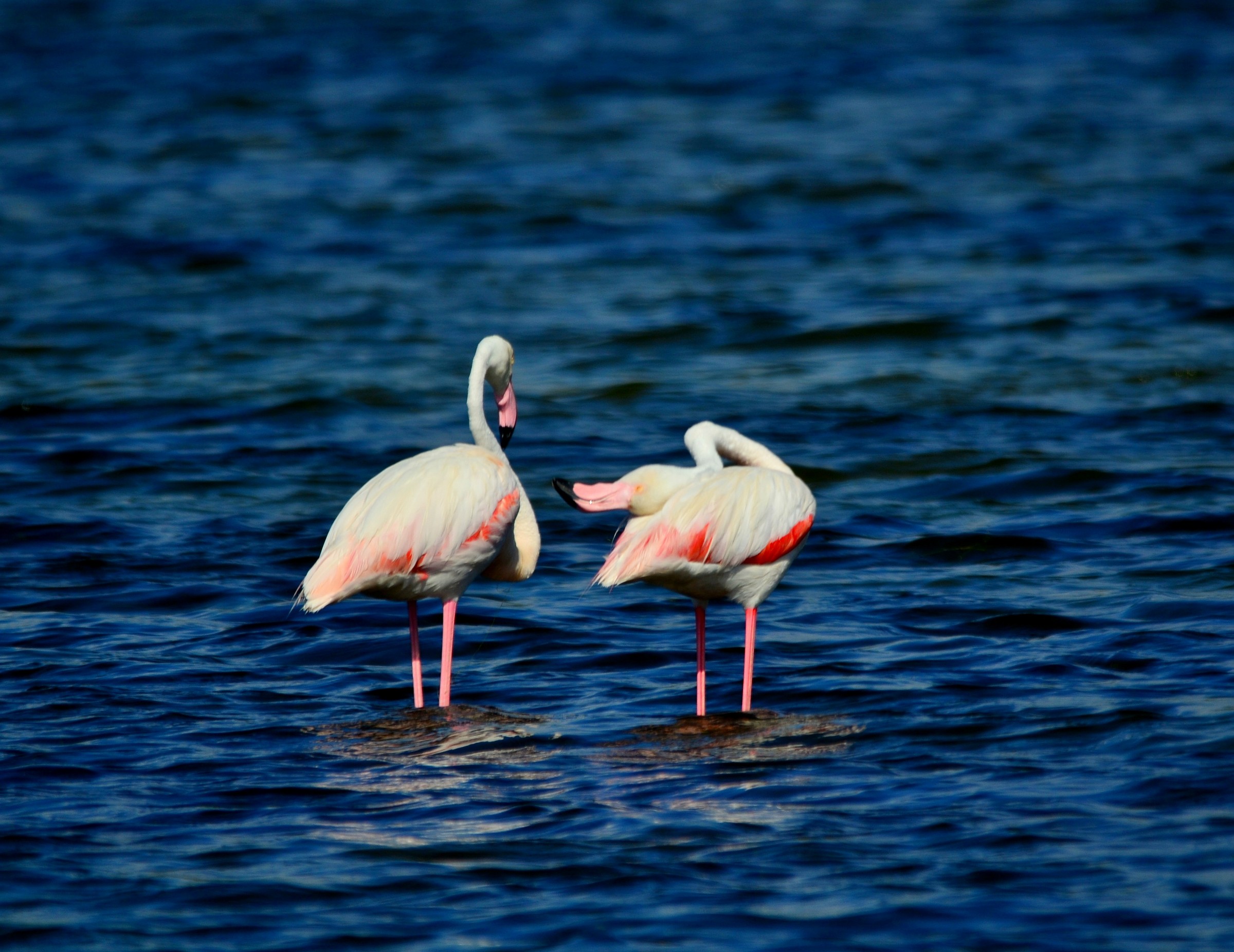 Change of perspective!