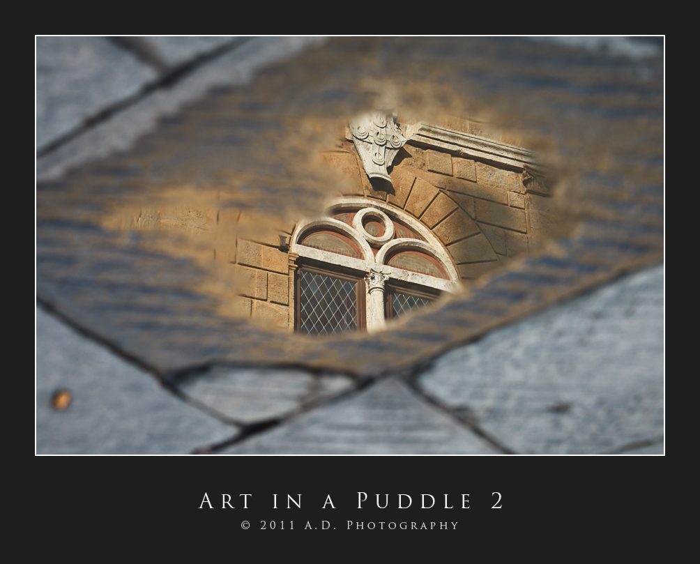 Art in a Puddle 2