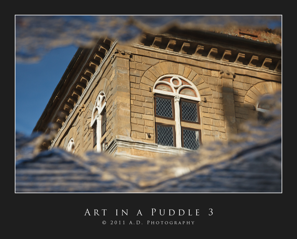 Art in a Puddle 3