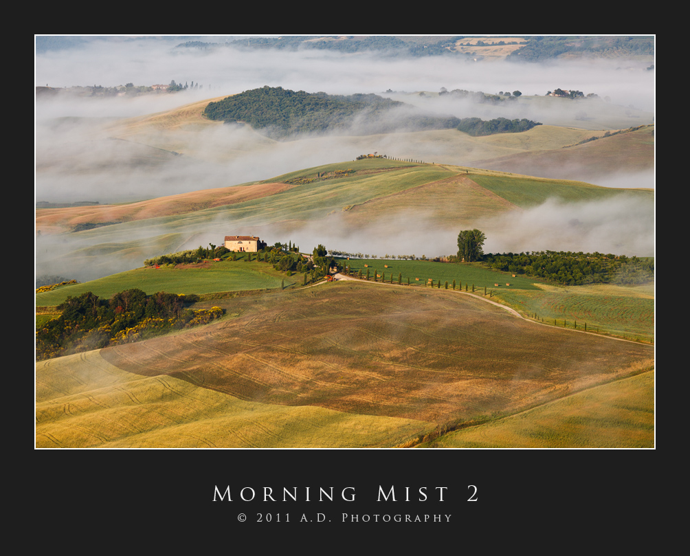 Morning Mist 2