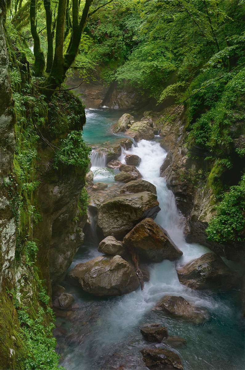 Parco Tricorno. Slovenia.