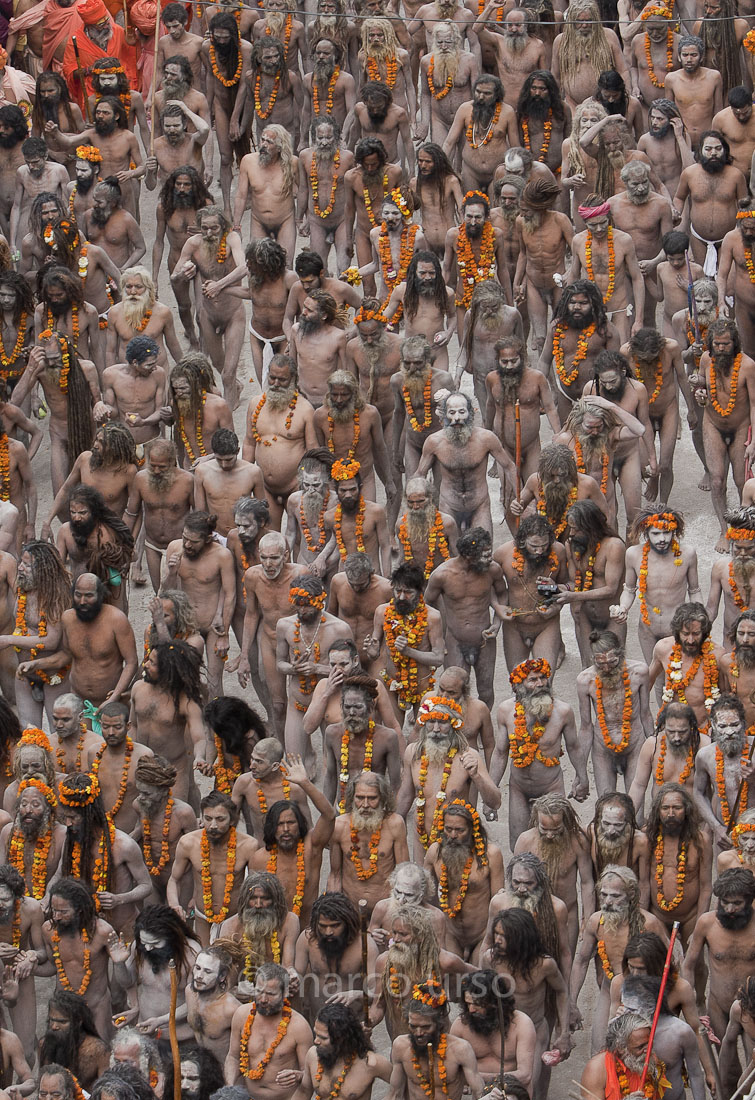 Waiting for the big apple Khumb of 2013 ...