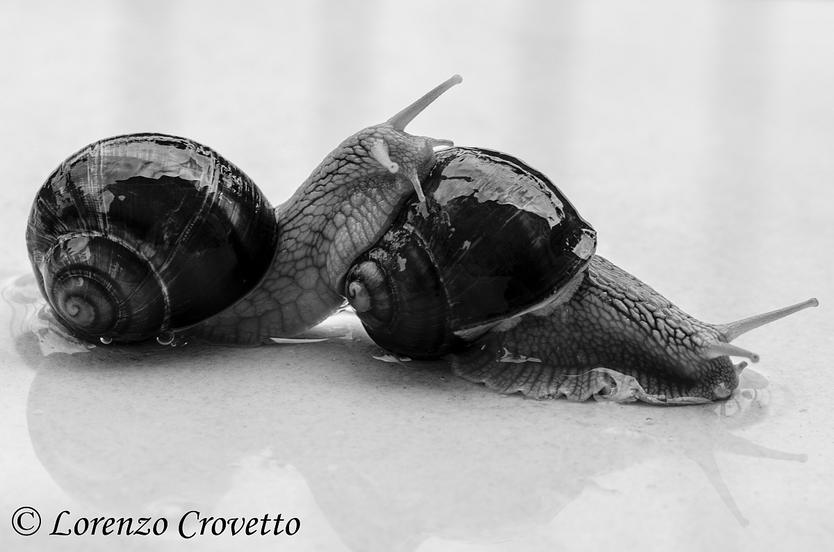 La Distanza di Sicurezza!!!!