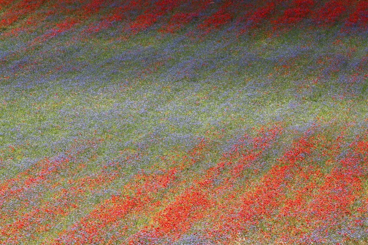 Pian great Castelluccio