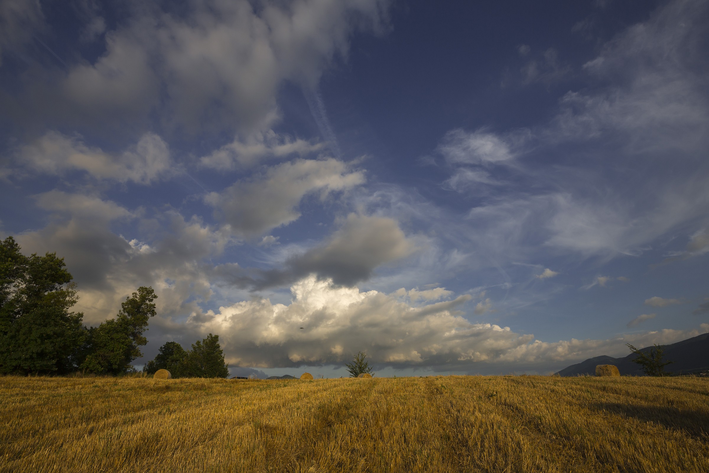 Campagna Umbra - Grano