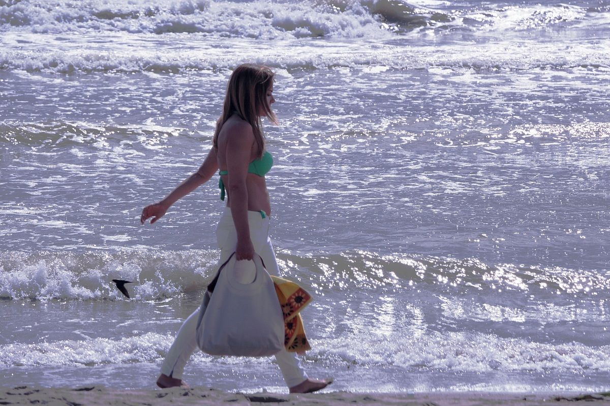 one swallow does not make a summer