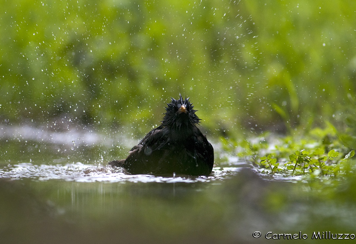 Bathroom electrifying