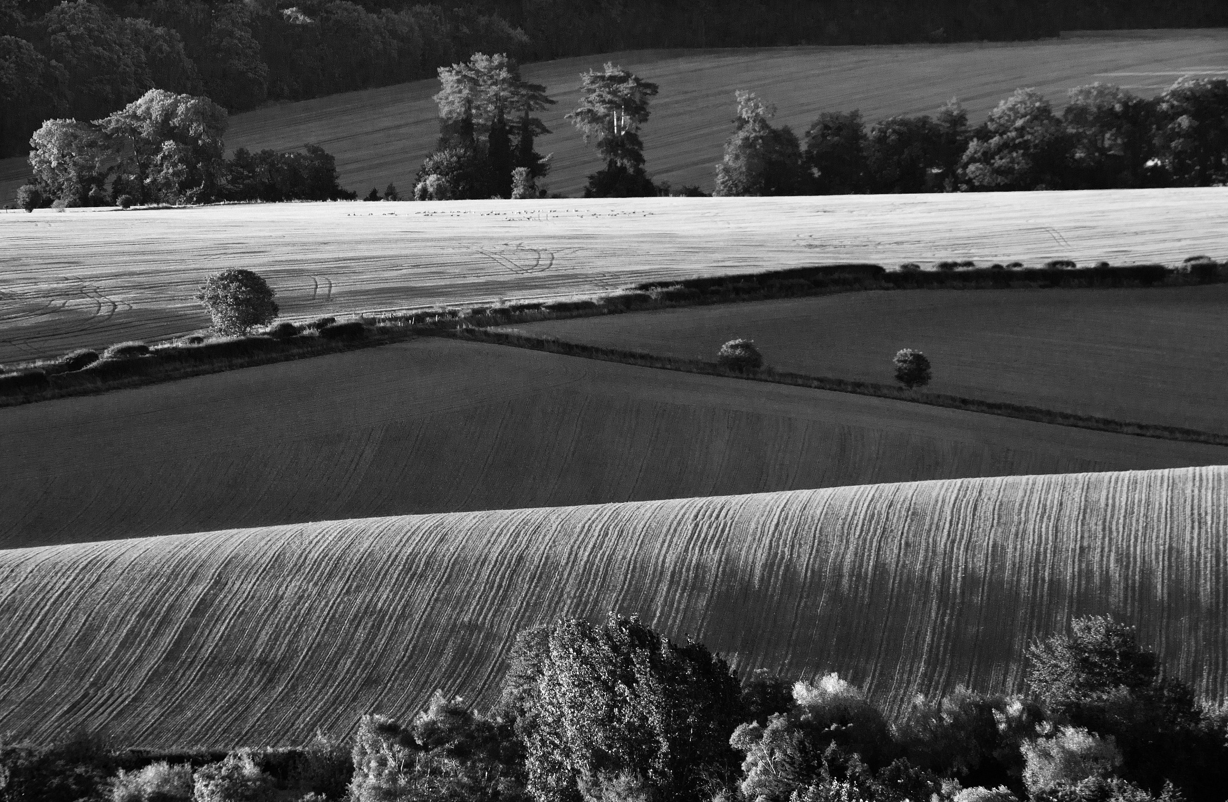 Folds in the Fields