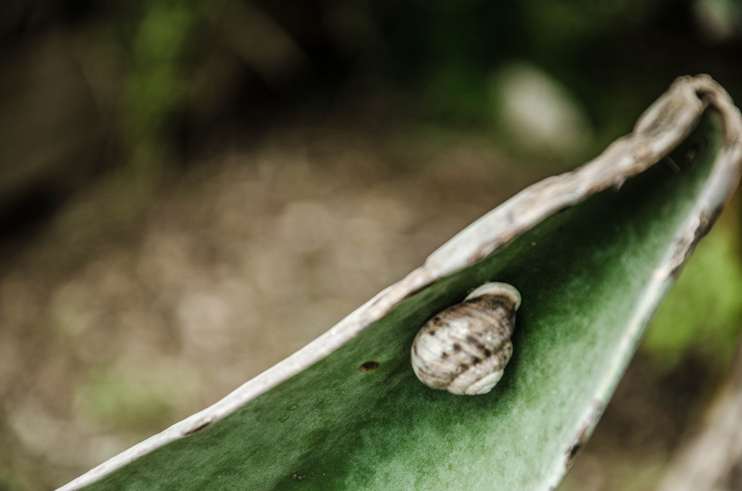 Temporary residence 1