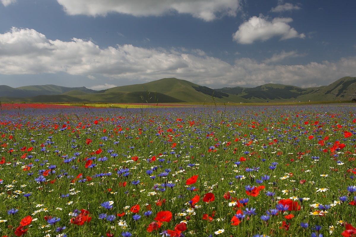 An explosion of colors