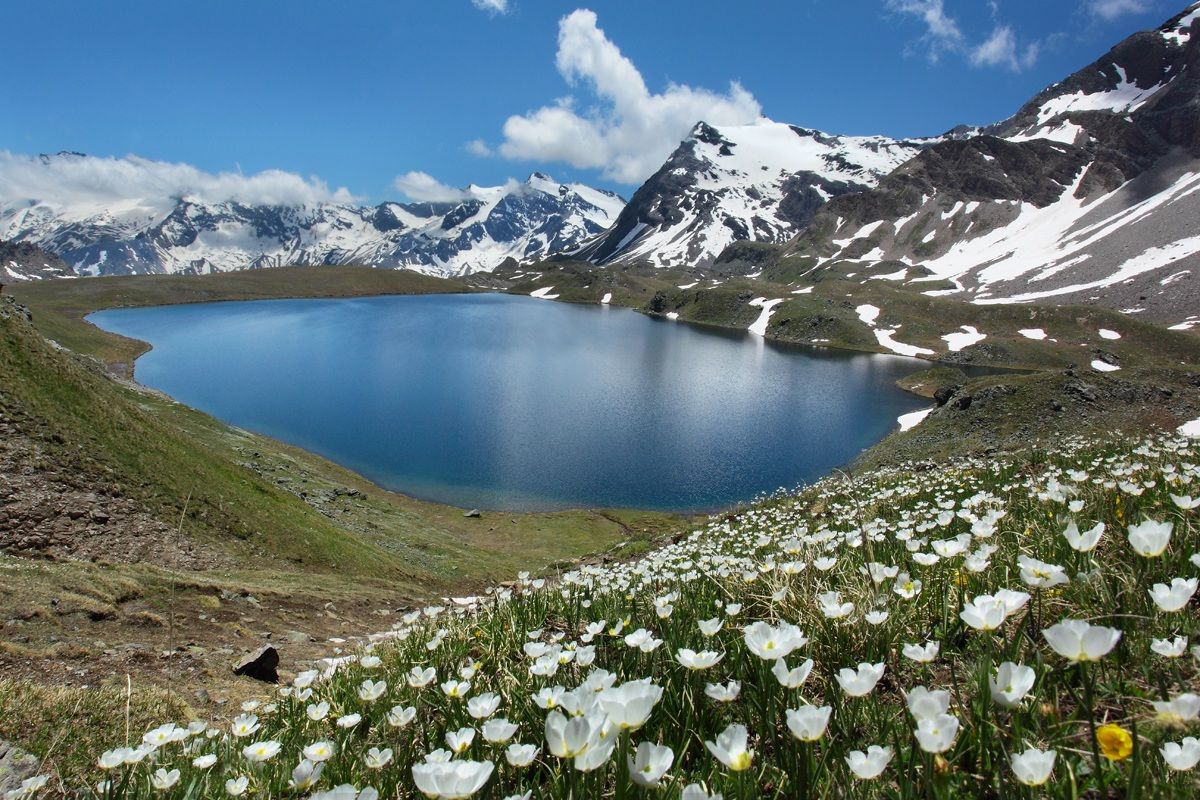 Piani del Rosset Gran Paradiso