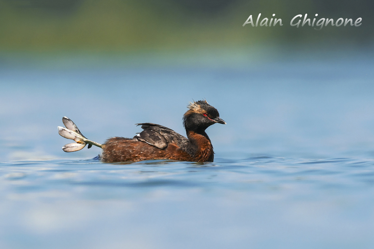 greetings from the Great North