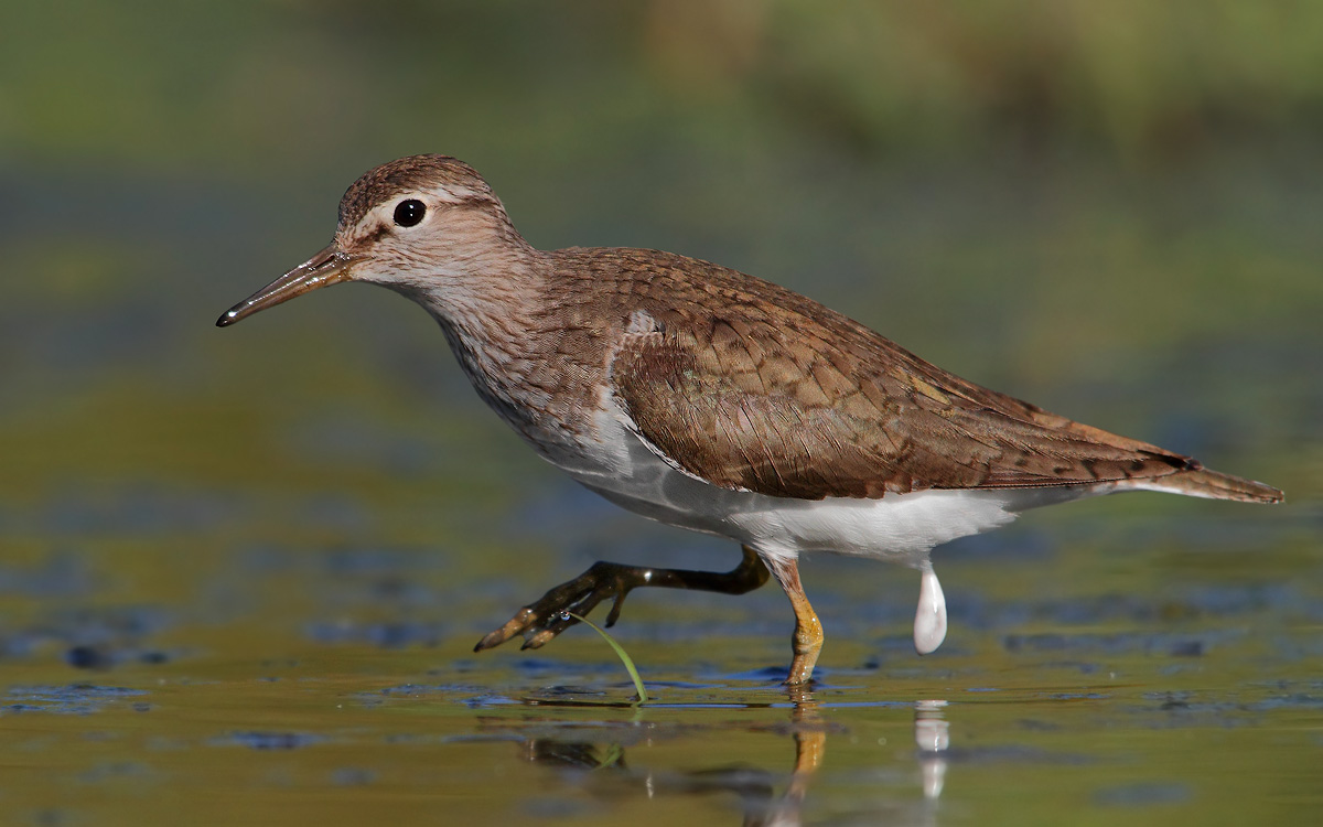 In the face of the photographer