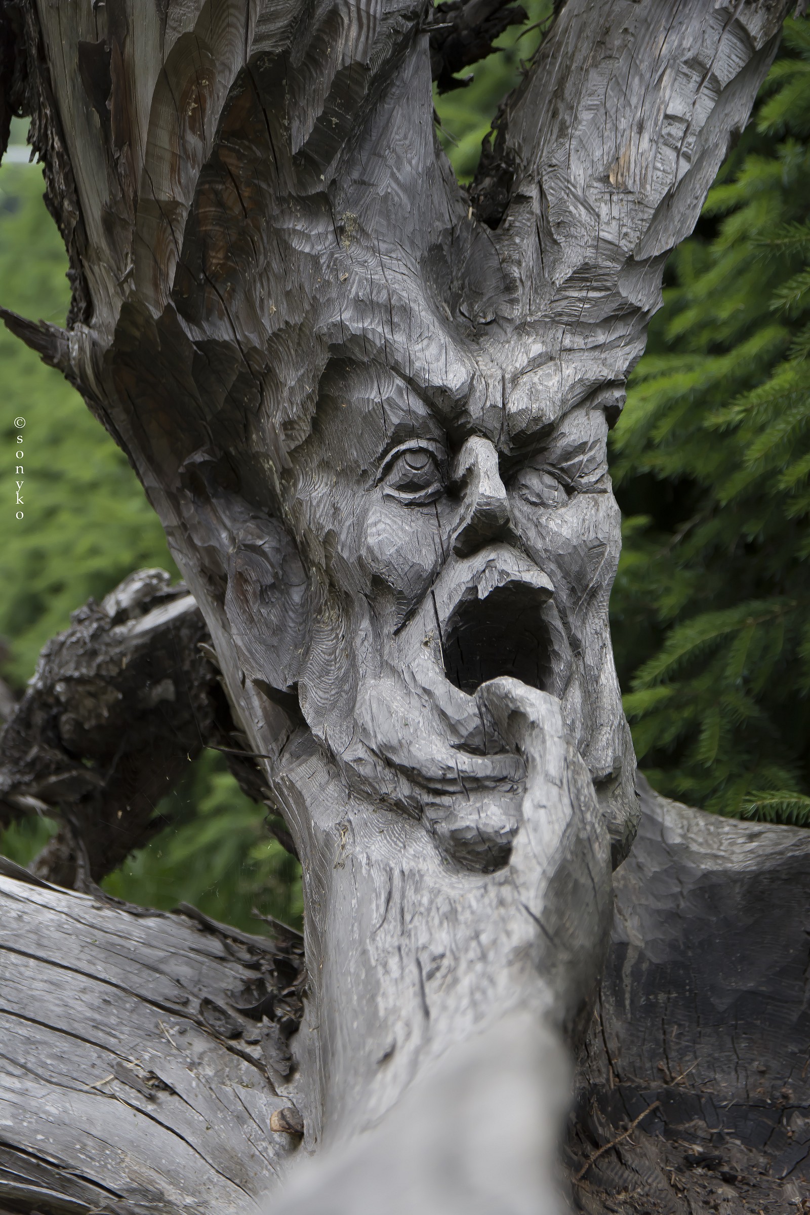 Scultura in legno, demone