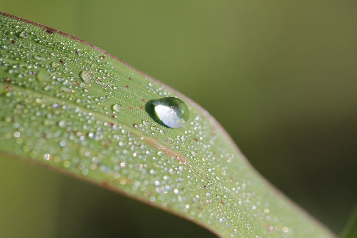 The brightness of the morning ...!