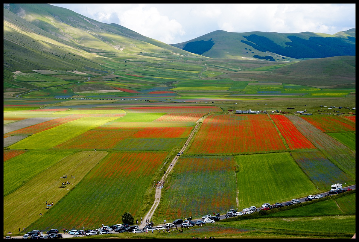 Large flat Castelluccio