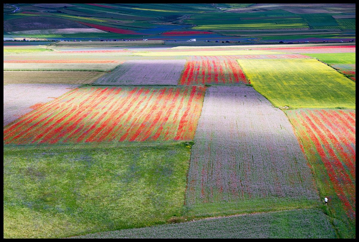 Large flat Castelluccio
