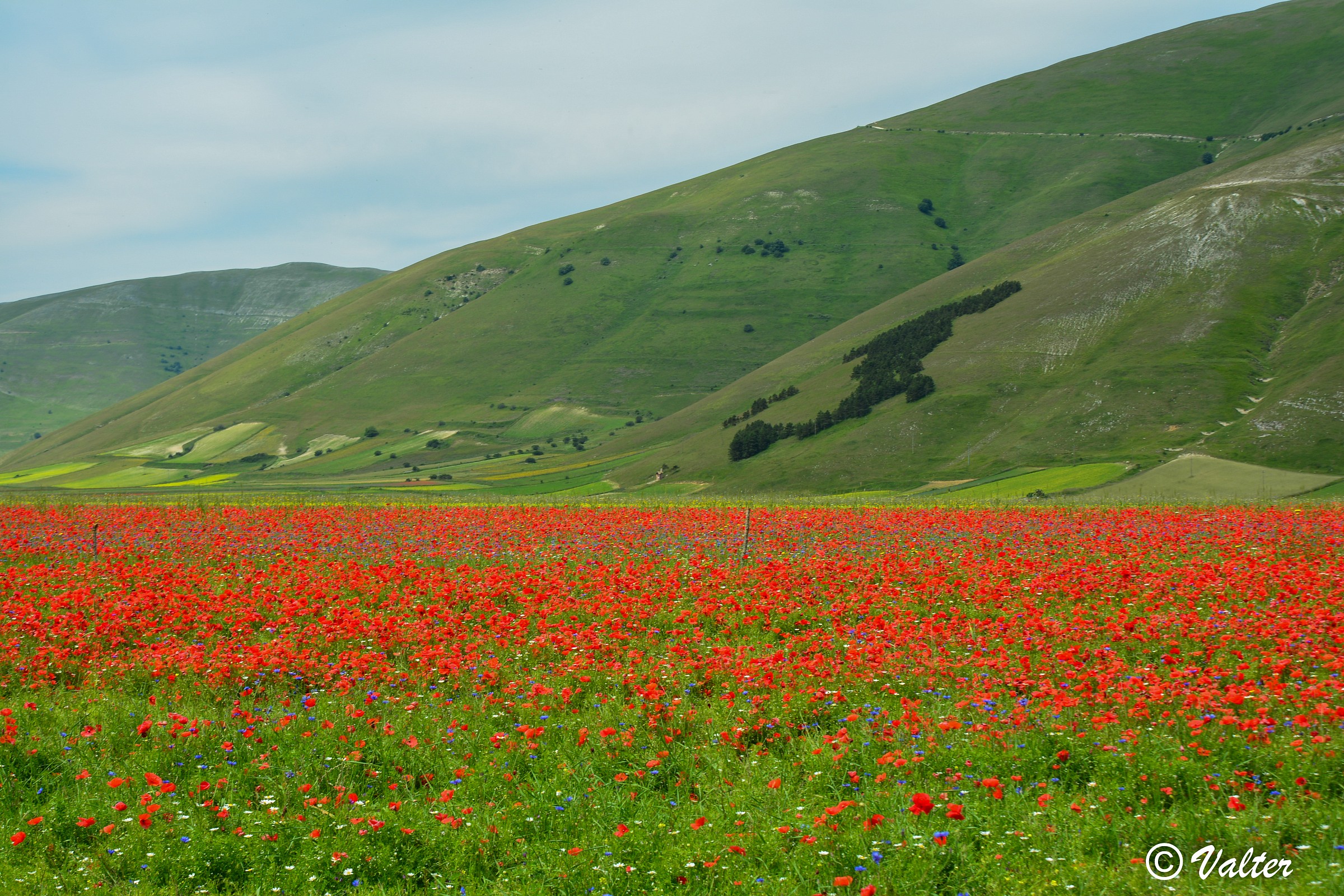 Castelluccio 5