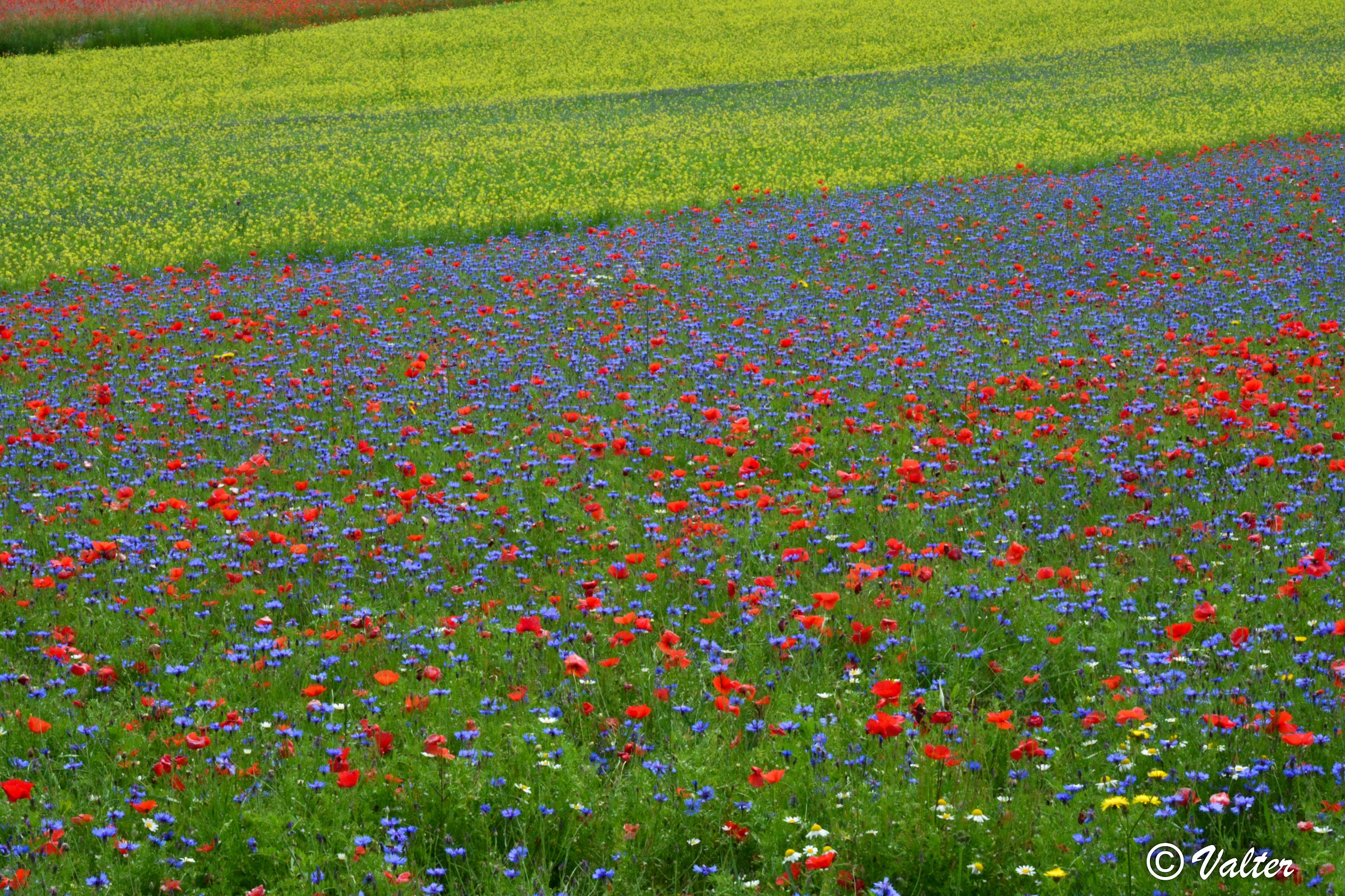 Castelluccio 6