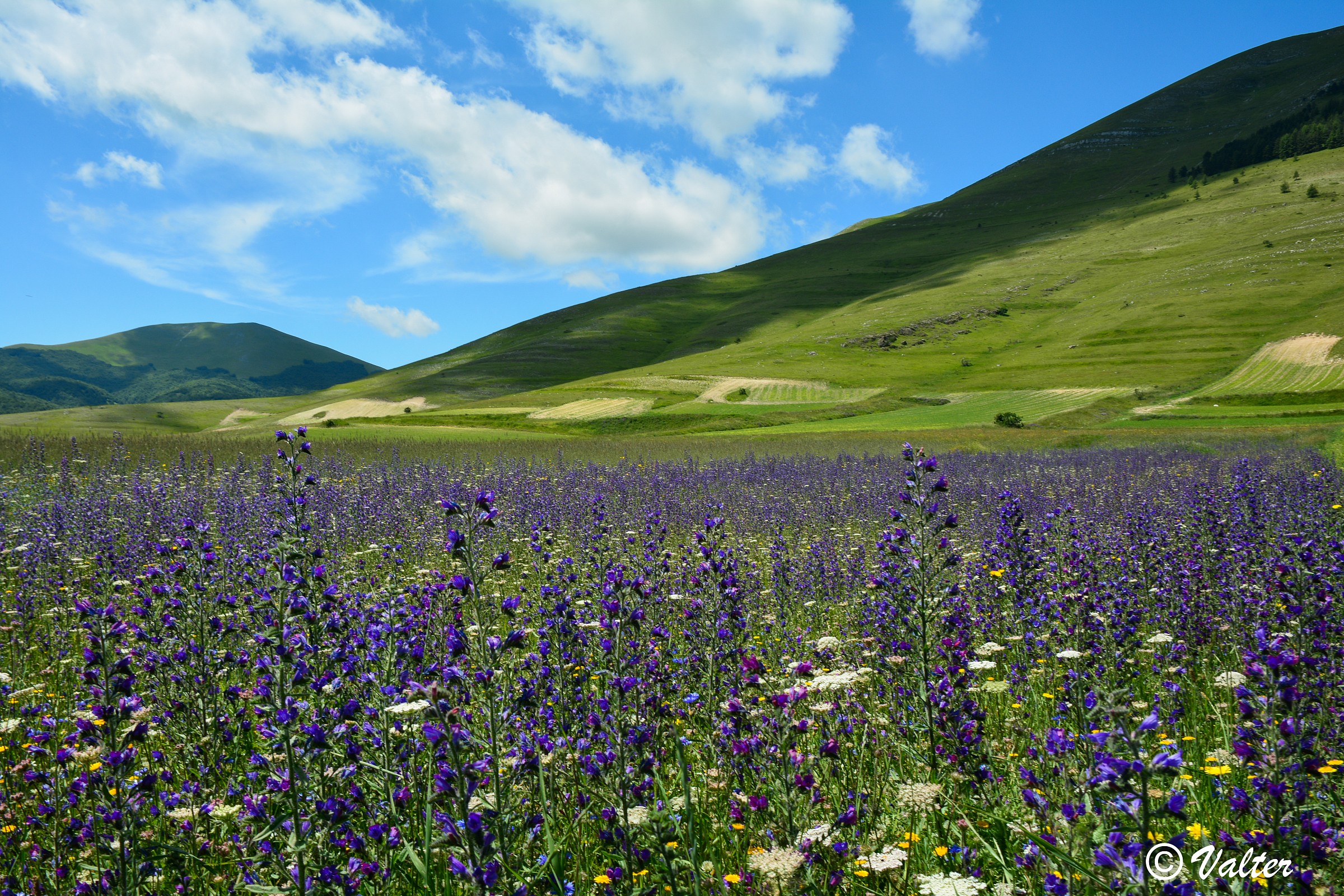 Castelluccio 8