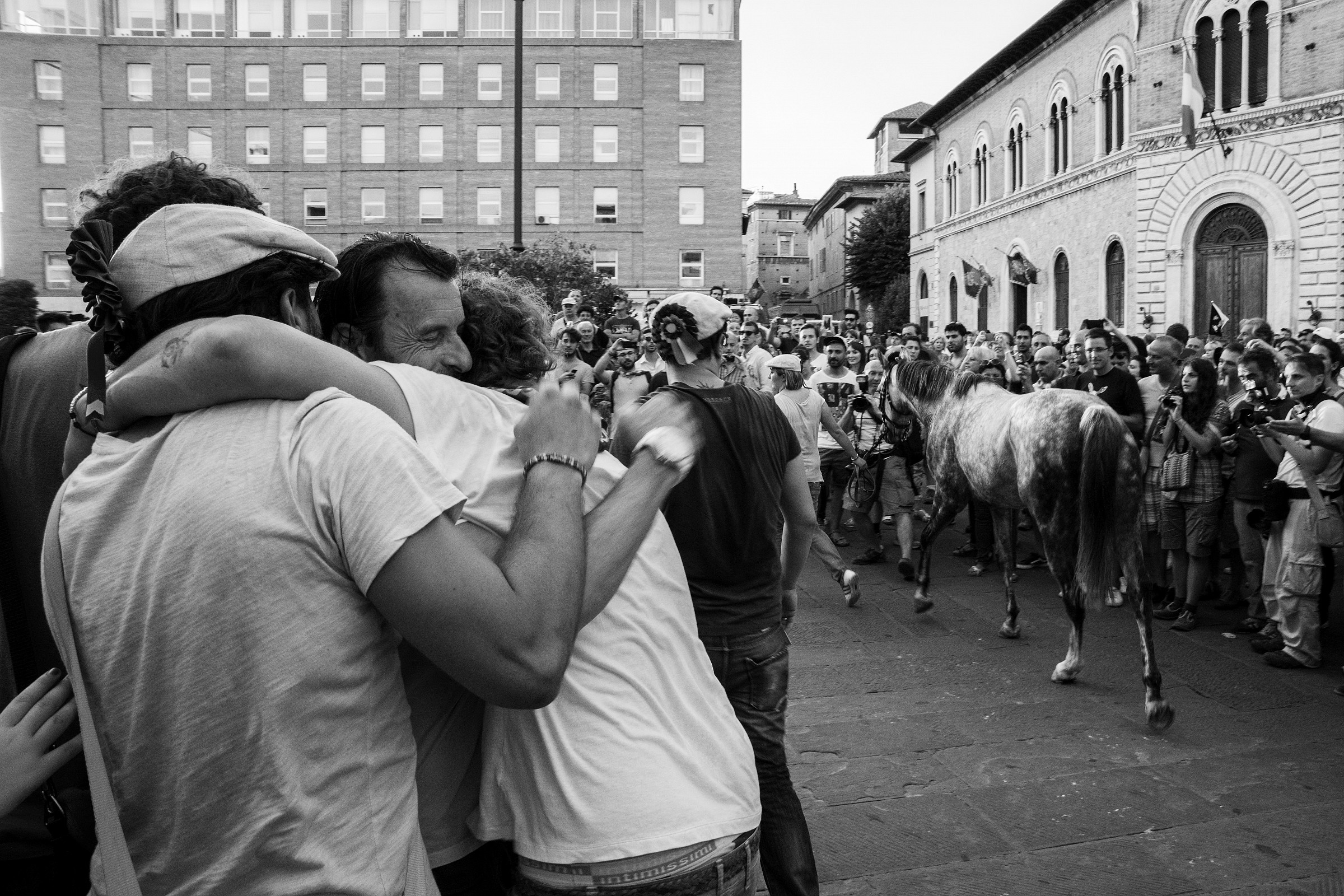 Palio di Siena horse winner