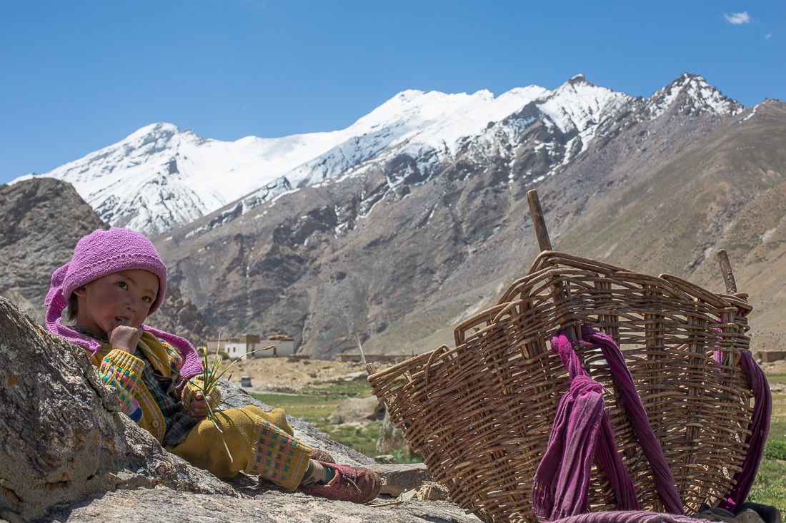 Zanskar Valley - Fili d'erba