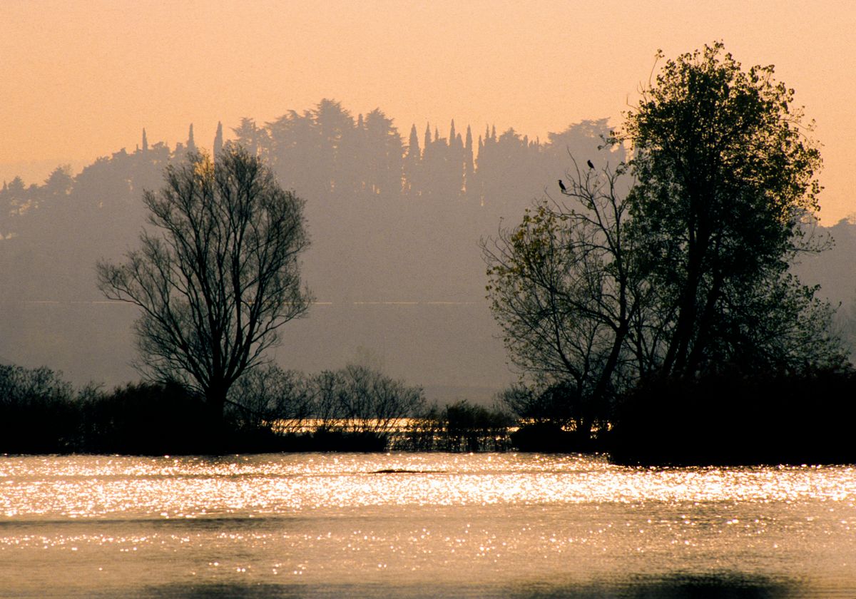 Alba sul lago dorato