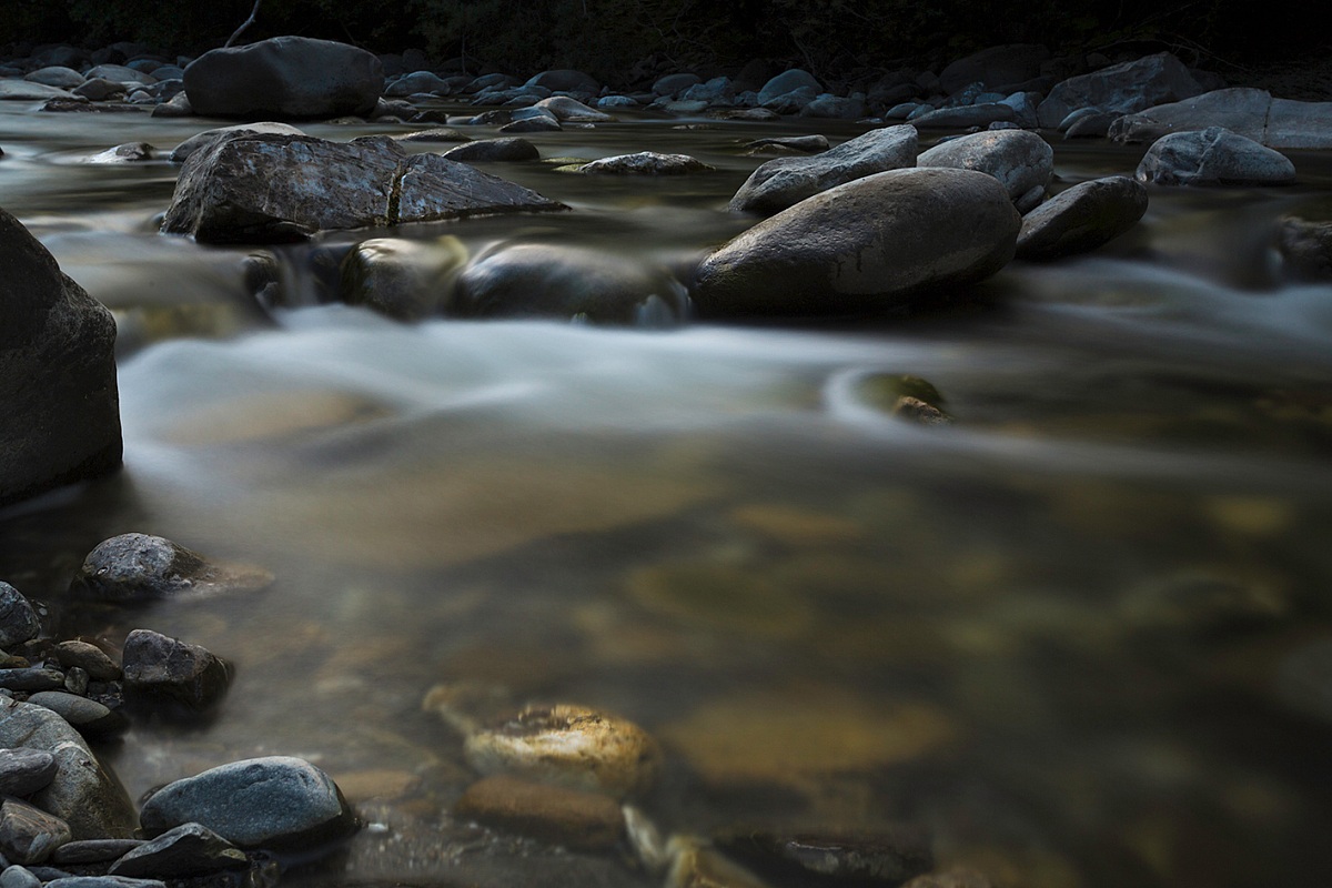 Il paradiso delle trote