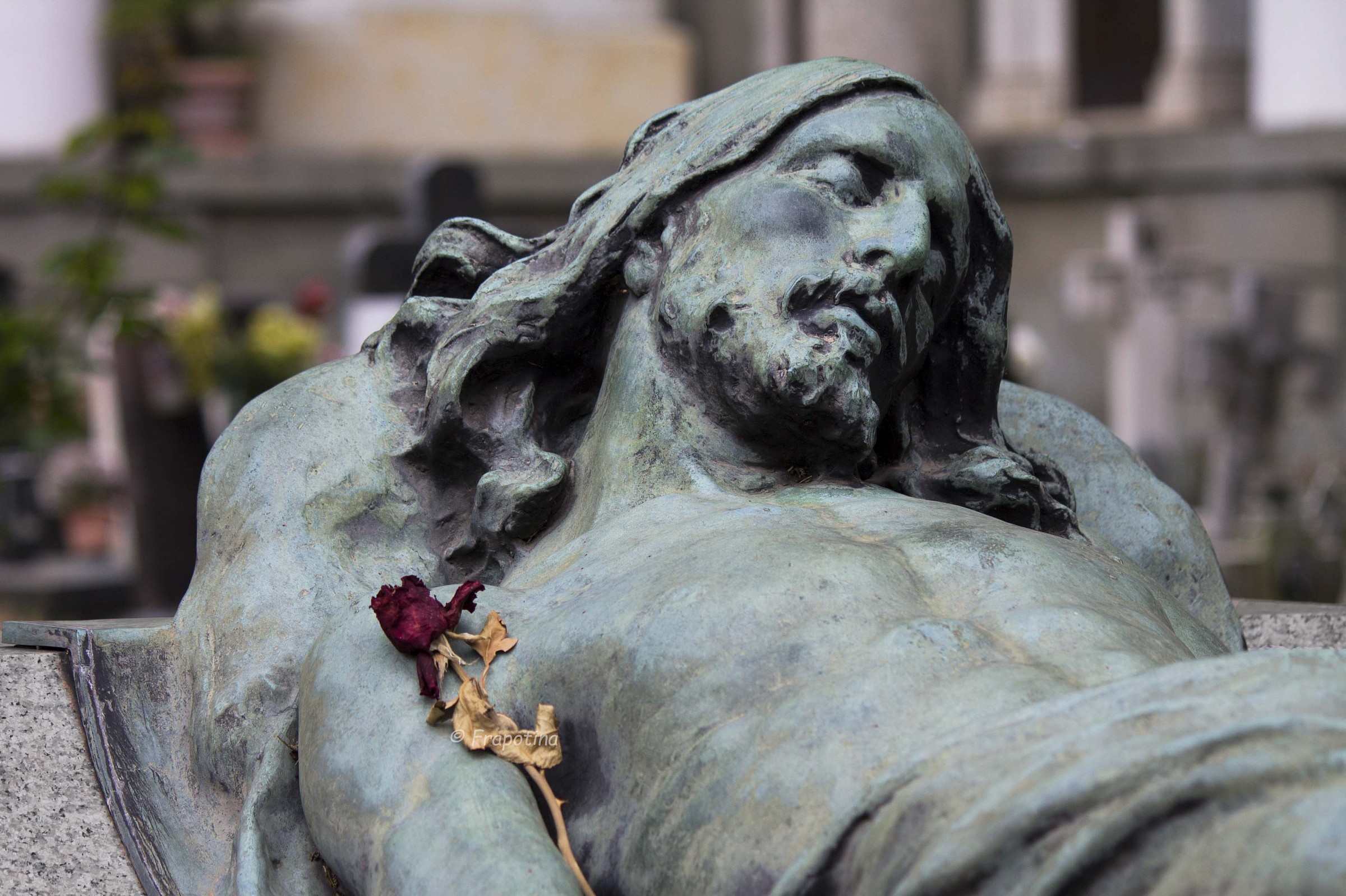 Solidarietà nel finire