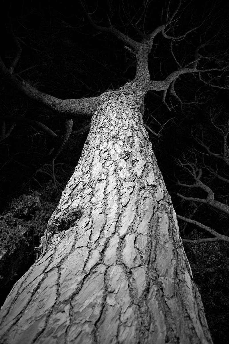 Pac 180 - Serata Illuminante