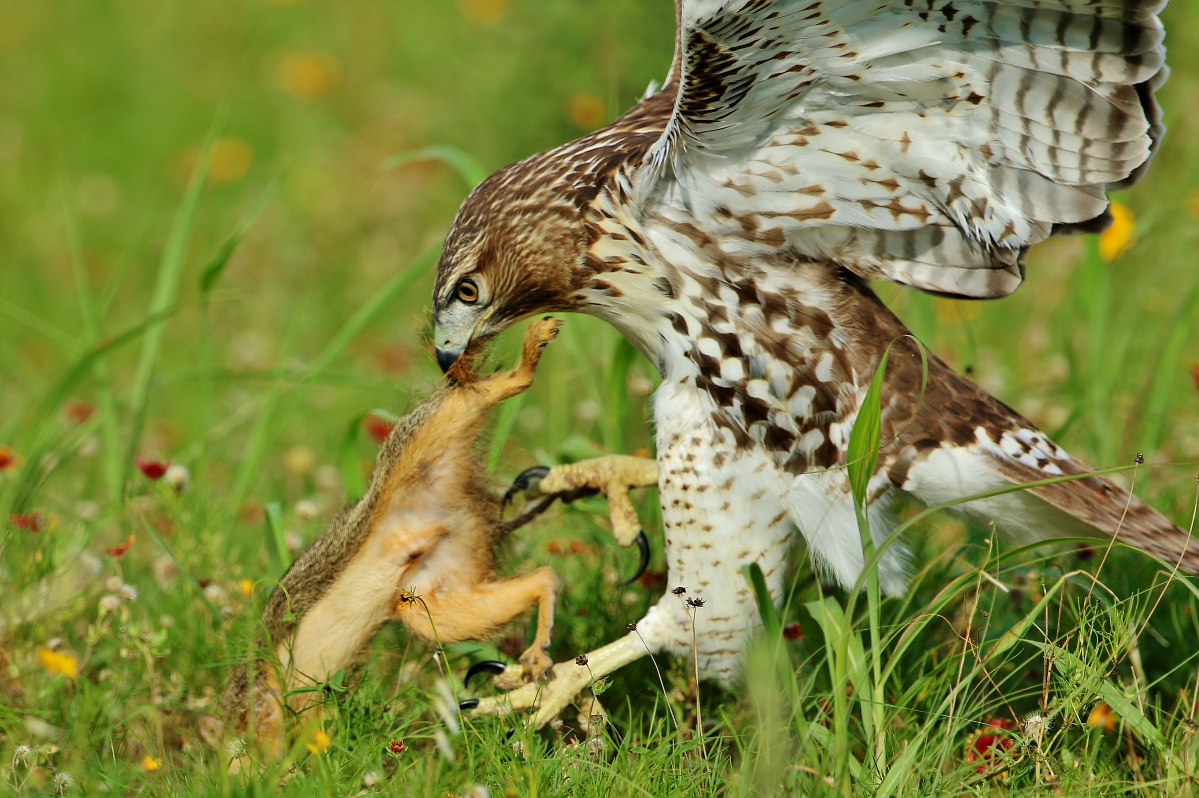 Una colazione abbondante