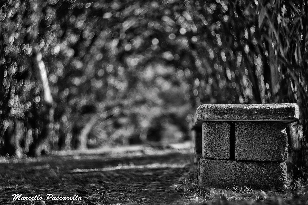 The bench in the mall